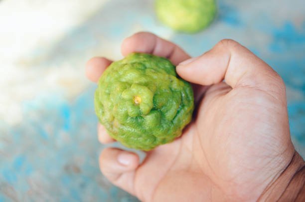 Jeruk Purut Tawarkan 6 Manfaat Ini Untuk Kesehatan Tubuh, Salah Satunya Menenangkan Pikiran